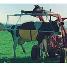 a cow is standing next to a cart in the grass with people riding on it