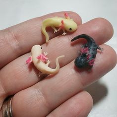 three tiny geckos are sitting on someone's hand, one is yellow and the other is black