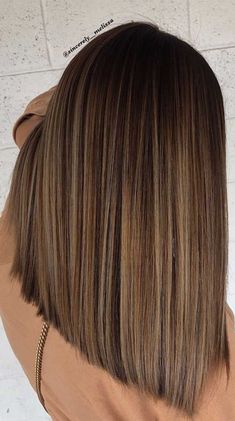 Medium Brown With Caramel Highlights Straight Hair, Hair Color Ideas For Straight Hair, Straight Brown Hair With Highlights, Hair Color With Highlights Ideas, Highlight Hair Color Ideas, Hair Color Brown With Highlights, Highlight Hair Ideas, Haircut And Color Ideas, Hair Color Ideas Highlights