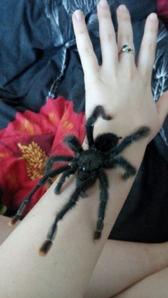 a woman's arm with a spider on it