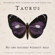 a purple butterfly sitting on top of a white sheet with the words taurus written below it