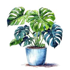 a watercolor painting of a monster plant in a blue pot on a white background