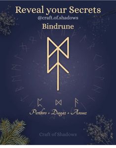 the cover art for an upcoming album called,'patience bindrune'by craft of shadows