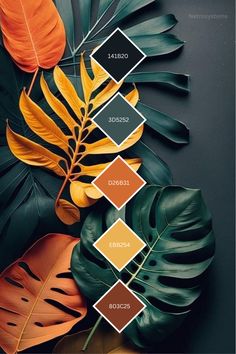 an arrangement of tropical leaves on a black background with oranges and browns in the center