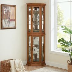 a corner cabinet with glass doors in a living room next to a potted plant