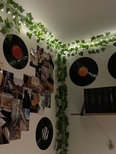 there are many records on the wall with ivy growing over them and hanging from the ceiling