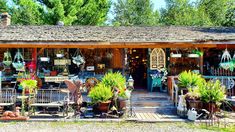 a store with lots of potted plants in front of it