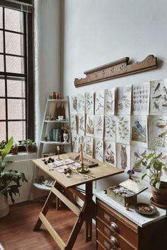 an art studio with lots of plants and artwork on the wall, along with other items