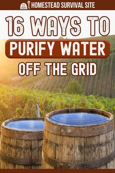 Purifying Water Survival, Purify Water Survival, Purify Water At Home, Living Of The Grid Ideas, Solar Still Water Purification, Of Grid Living, How To Purify Water, Natural Water Filter, Collect Rain Water Diy