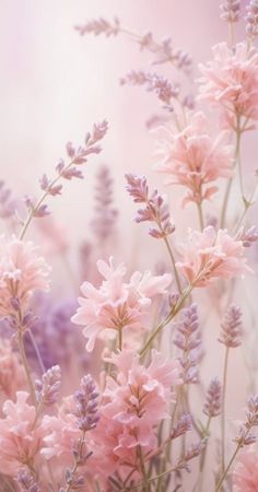 some pink flowers and purple lavenders are in the foreground with a blurry background