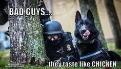 two police dogs sitting next to each other in the grass with caption bad guys they taste like chicken