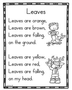 the leaves are orange, leaves are brown, leaves are falling on the ground and leaves are