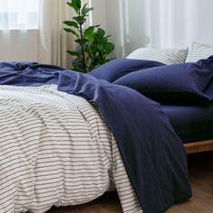 an unmade bed with blue and white linens in a small room next to a potted plant