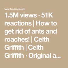 1.5M views · 51K reactions | How to get rid of ants and roaches! | Ceith Griffith | Ceith Griffith · Original audio Rid Of Ants, Get Rid Of Ants, Ants, Audio, The Originals