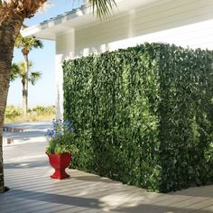 a tall green hedge next to a red planter on the side of a building