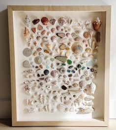 a shadow box filled with seashells and shells