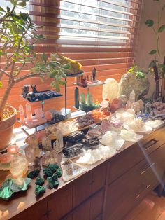 a wooden table topped with lots of different types of rocks and plants next to a window