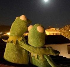 two green stuffed animals sitting on top of a roof next to each other at night