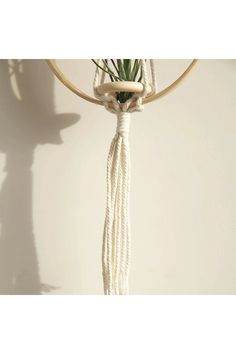 a plant is hanging from a hoop on the wall