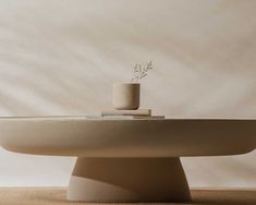 a white table with a plant on top