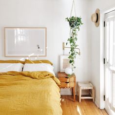 a bedroom with white walls and wooden flooring has a hanging plant next to the bed