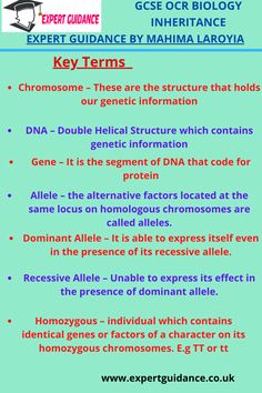 a poster with the words expert guidance and key terms on it, including an image of