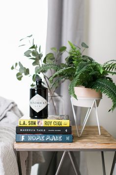 a stack of books sitting on top of a table next to a potted plant