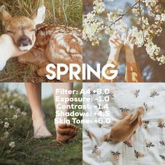 a collage of photos with the words spring and an image of a baby deer