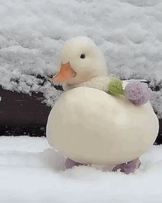 a white duck is sitting in the snow