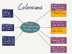 the colossias diagram is shown in blue, yellow and purple