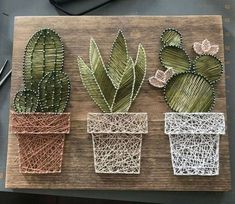 four different types of cactus plants on a cutting board with crochet laces