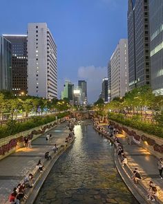 people are sitting on benches along the river in a city at night with tall buildings