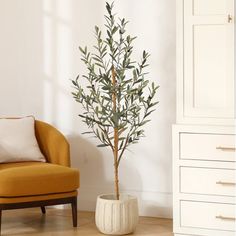 a living room with a yellow chair and a small tree in the middle of it