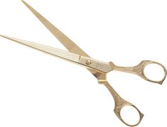 Scissors Design, Hair Shears, Hairdressing Scissors, Hair Scissors, Fabric Scissors, Grooming Tools, Character Development, Design Model