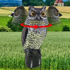 an owl statue is in the middle of a field with grass and trees behind it