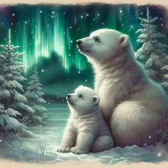 two polar bears are sitting in the snow with an aurora bore behind them, looking up at the sky