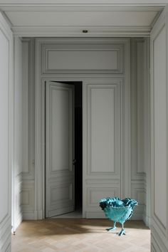 a blue bird sitting on the floor in an empty room with white walls and doors