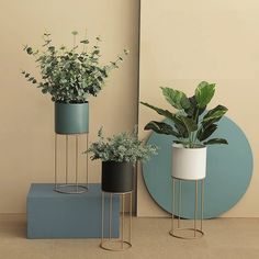 three planters with plants in them sitting next to a mirror on the floor near a wall