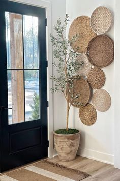 a potted plant in front of a door with wicker baskets on the wall