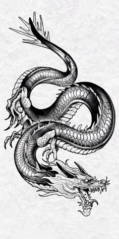 a black and white drawing of a dragon