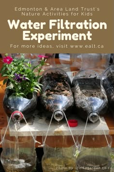 water filtrator experiment for kids with text overlay that reads edmonton & area land trust's nature activities for kids