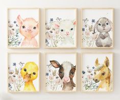 four framed pictures of farm animals on a white wall with flowers and grass in the background