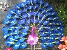 blue and pink flowers are arranged in a circle on the ground next to each other