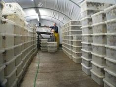 a man standing in a room filled with white containers