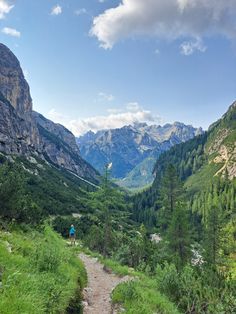 a person hiking up a trail in the mountains with trees and grass on both sides