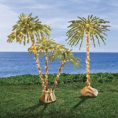 two palm trees with lights on them in the grass