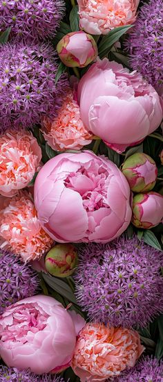 pink and purple flowers with green leaves in the center are arranged on top of each other