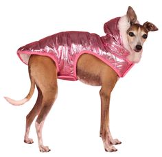 a small dog wearing a shiny pink coat