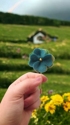 a hand holding a small blue flower with a rainbow in the background