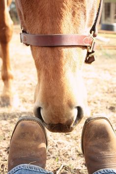 a person standing next to a horse with his feet on the ground and wearing boots